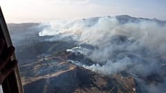 50 Meter hohe Flammen: Waldbrand wütet weiter auf Gran Canaria 