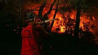 AA