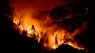 Incêndio na Grã Canária perde força mas ainda está por dominar