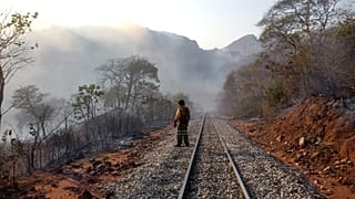 Una ola de fuego arrasa medio millón de hectáreas en Bolivia