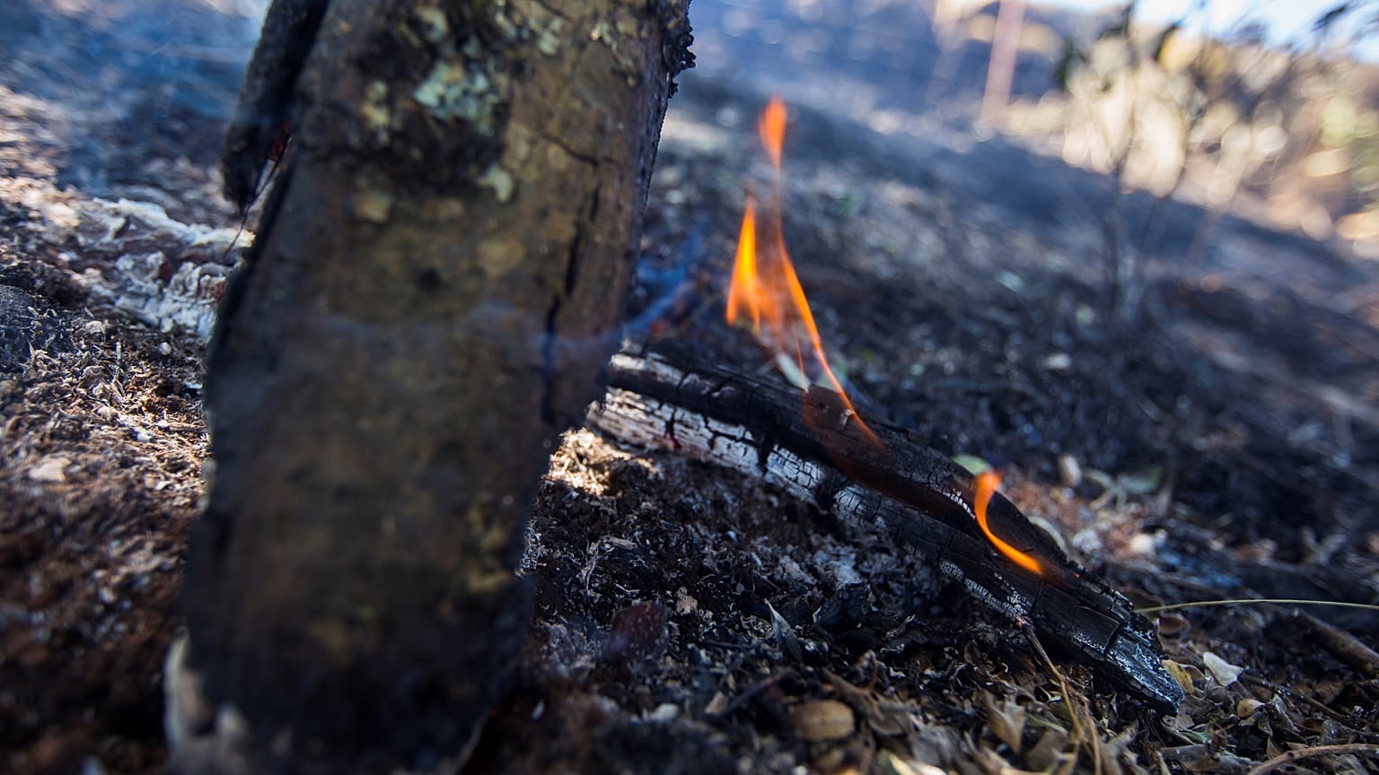 Remite el fuego en Gran Canaria