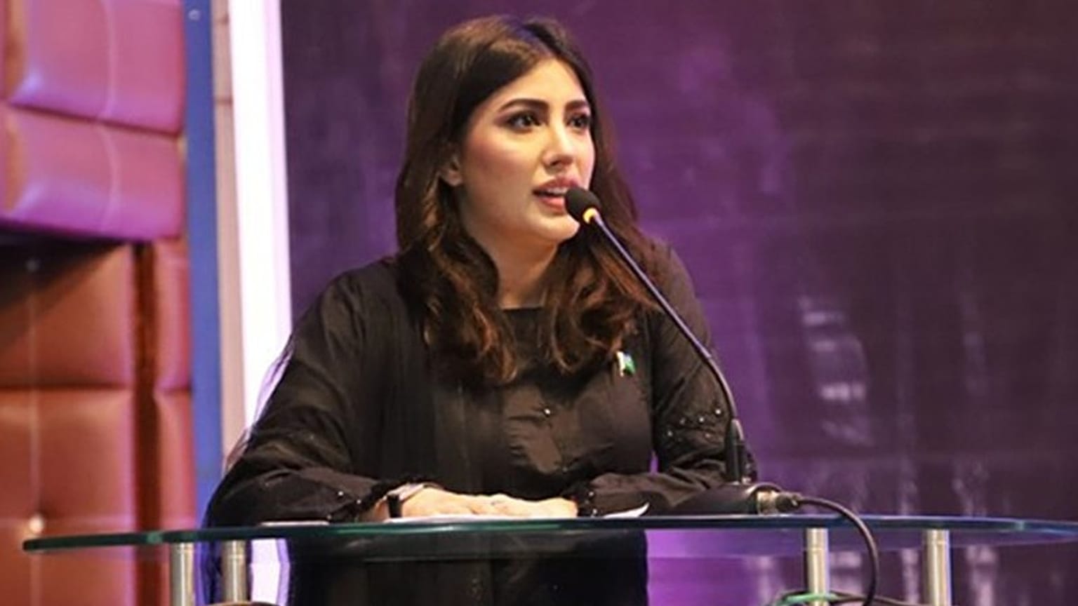 Mehwish Hayat