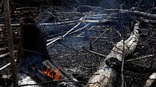 Μπολσονάρου κατά ΜΚΟ για τις φωτιές στον Αμαζόνιο