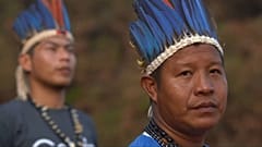 Incendies en Amazonie : l'inquiétude est mondiale