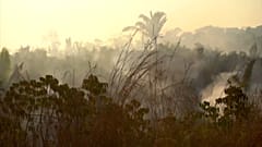 Kampf um die Amazonas-Wälder