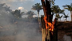 Amazon rainforest burning, Brazil