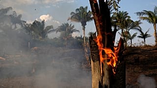 Amazon rainforest burning, Brazil