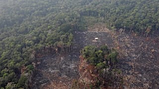 'Our house is burning': Macron urges G7 leaders to discuss Amazon fire
