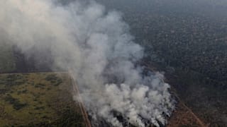 A Amazónia arde, o mundo assiste e os políticos pedem urgência