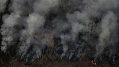 آمازون در آتش؛ دعوای رهبران برزیل و فرانسه