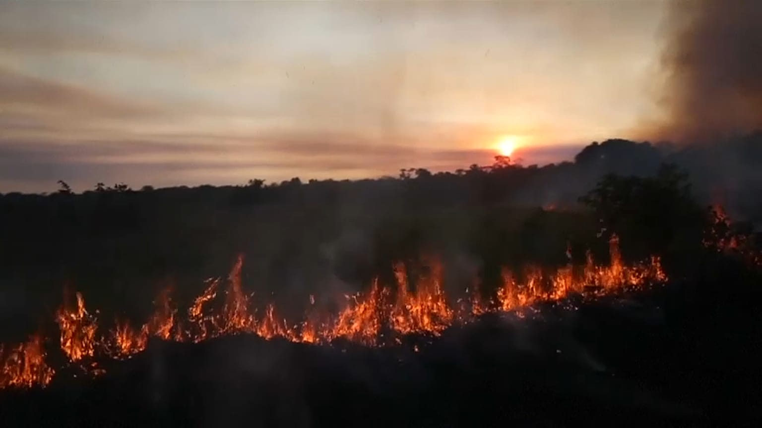 L'impact à grande échelle des feux en Amazonie