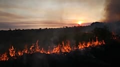 L'impact à grande échelle des feux en Amazonie