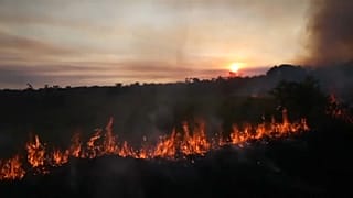 L'impact à grande échelle des feux en Amazonie