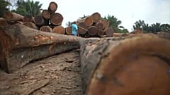 Wegen Waldbränden: Widerstand in EU gegen Mercosur-Abkommen wächst
