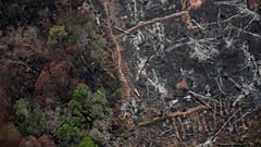 Amazzonia, scienziato della NASA smonta con immagini satellitari le accuse di Bolsonaro 