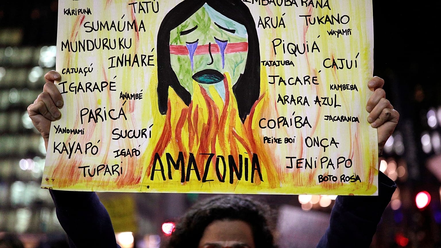 Διαμαρτυρίες για τις πυρκαγιές στον Αμαζόνιο-Διεθνείς πιέσεις