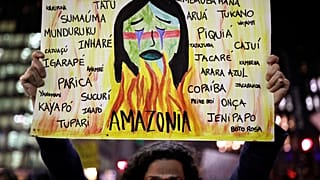 Διαμαρτυρίες για τις πυρκαγιές στον Αμαζόνιο-Διεθνείς πιέσεις