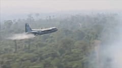 Brasilien: Armee gegen Amazonas-Waldbrände