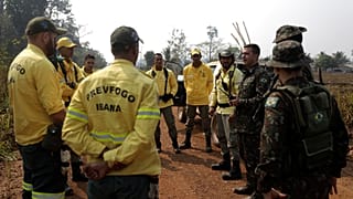 Így mentik a brazil katonák az esőerdő állatait az erdőtűzből