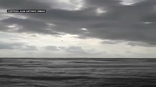 El momento en el que el avión se precipita al mar