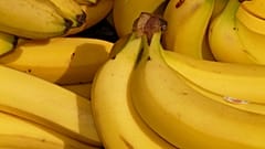 Drogenfahnder finden in Hamburg 100 Kilo Kokain in Bananen-Container