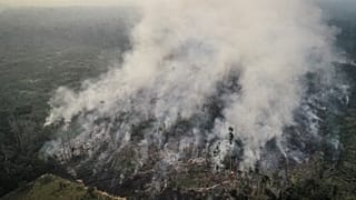 Αμαζόνιος: Η Βραζιλία απορρίπτει την βοήθεια της G7
