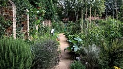 King Henry's Walk Garden