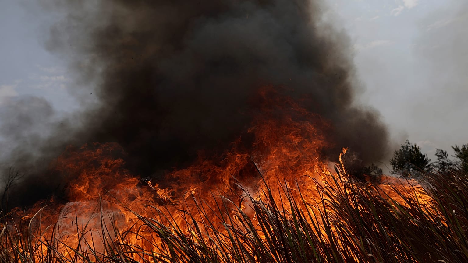 Peru and Colombia call for meeting and pact to protect Amazon forest