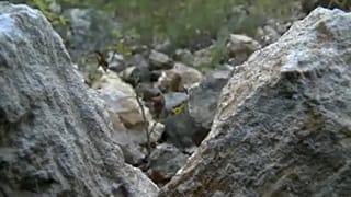 Bányavita a Pilisben - egyelőre nem nyitják meg a kőbányát