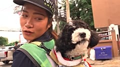 Son chien sur le dos, elle nettoie les rues de Bangkok