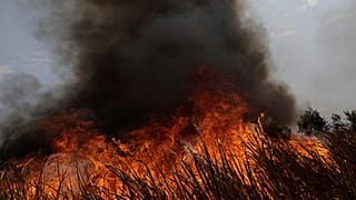 Perú y Colombia convocan a países amazónicos para formar un frente común de protección de la selva