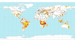 Nem lehet összehasonlítani az amazonasi és az afrikai erdőtüzeket