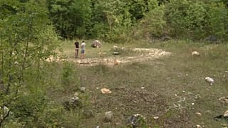 Что дороже — заповедник или щебёнка?