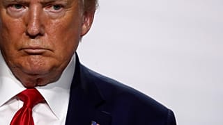 Trump engedélyezné a fakivágást a világ legnagyobb mérsékelt övi esőerdejében