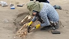 Страшные тайны доколумбовой Америки