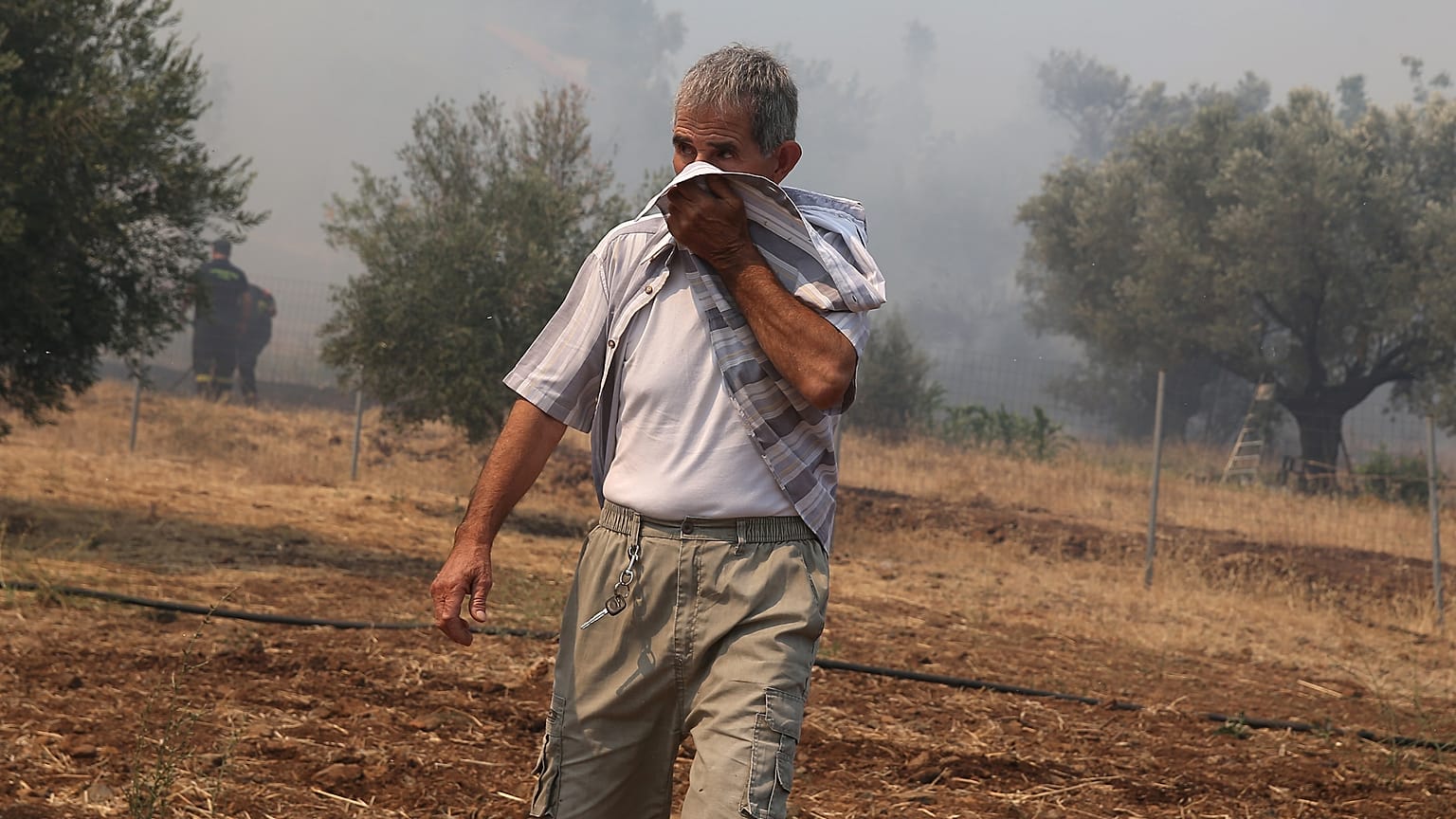 Φωτιές σε Λούτσα, Τανάγρα και Πεντέλη