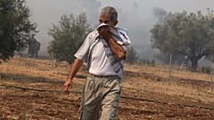 Φωτιές σε Λούτσα, Τανάγρα και Πεντέλη