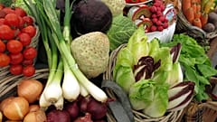 Vegan beslenenler kolin eksikliğine karşı hangi gıdaları ihmal etmemeli?
