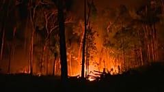 Amazon wildfires spread, with 72,843 detected so far this year