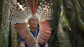 Mit den Waldhütern auf Amazonas-Streife