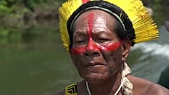 Amazonie : le chef d'une tribu s'engage contre la destruction de la forêt