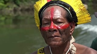 Amazonie : le chef d'une tribu s'engage contre la destruction de la forêt