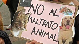 Animais e donos desfilam por direitos na Colômbia