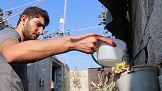 عبد الحميد يسقي ورودا