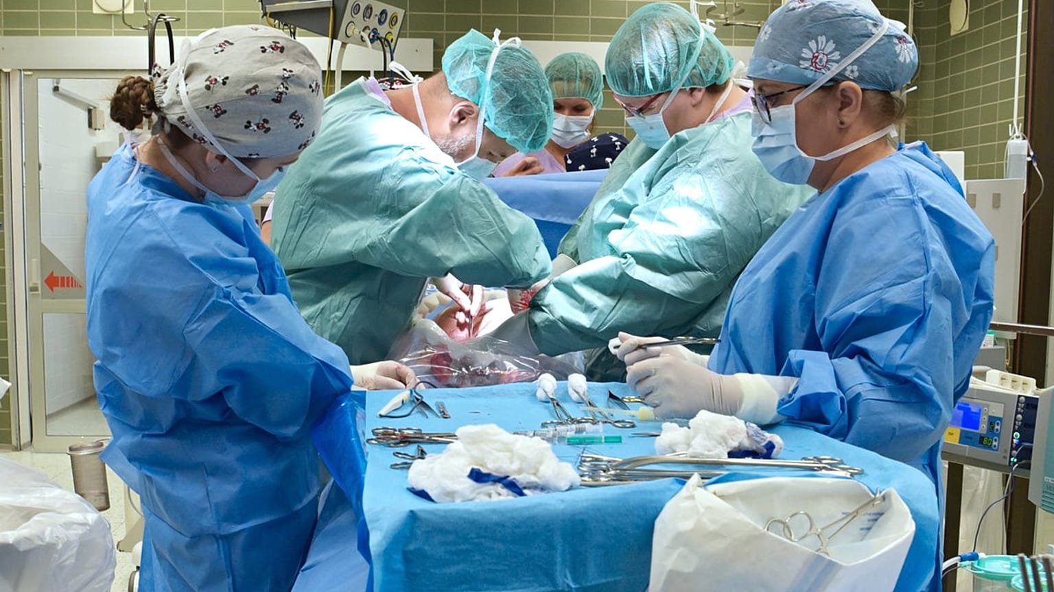 Eliska was delivered on August 15, 2019. 