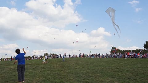Kite festival fun in Russia despite lack of strong winds 