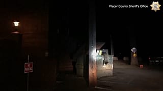 پس از ناکامی خرس‌ها در عملیات نجات،‌ پلیس توله خرس را از سطل آشغال نجات داد