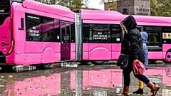 Ingyenessé tették a tömegközlekedést egy francia városban, egy év után megnézték, mennyire vált be