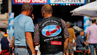 Schuldzuweisungen nach AfD-Höhenflug in Sachsen und Brandenburg