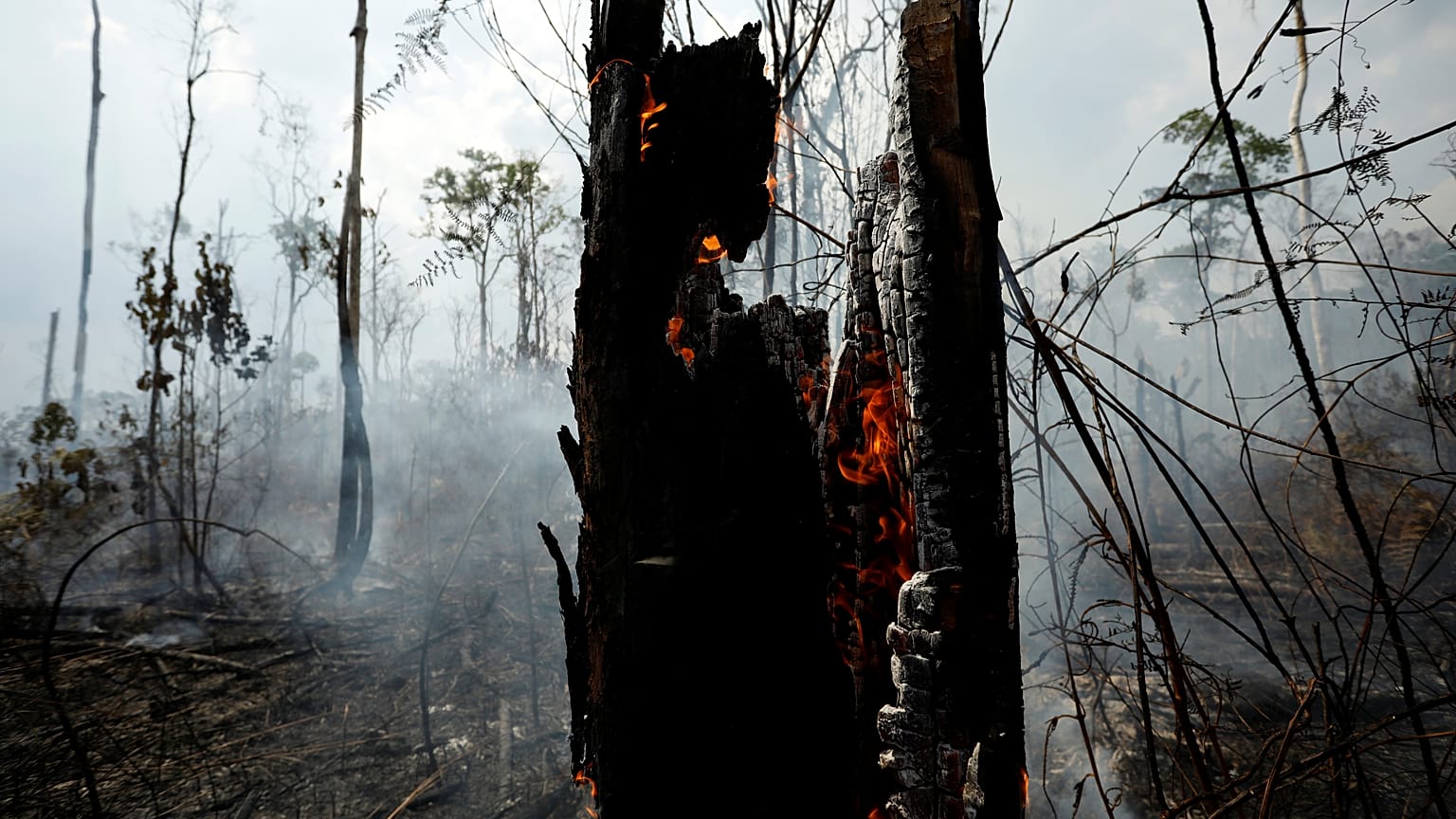 Brennender Regenwald in Brasilien bei Apui, 3. September 2019.